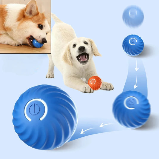 Bouncing Dog Toy Ball – Automatic Chew & Play